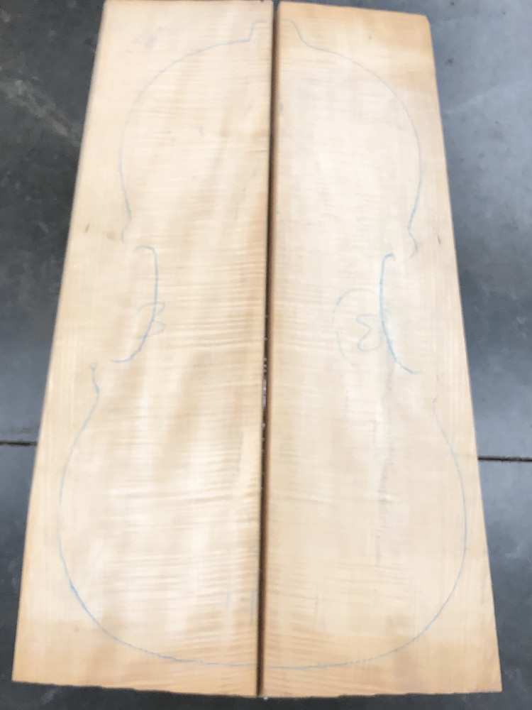 Balkan Maple Cello Back, choice AS PICTURED