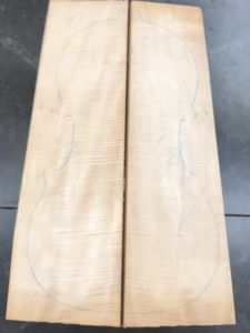 Balkan Maple Cello Back, choice AS PICTURED