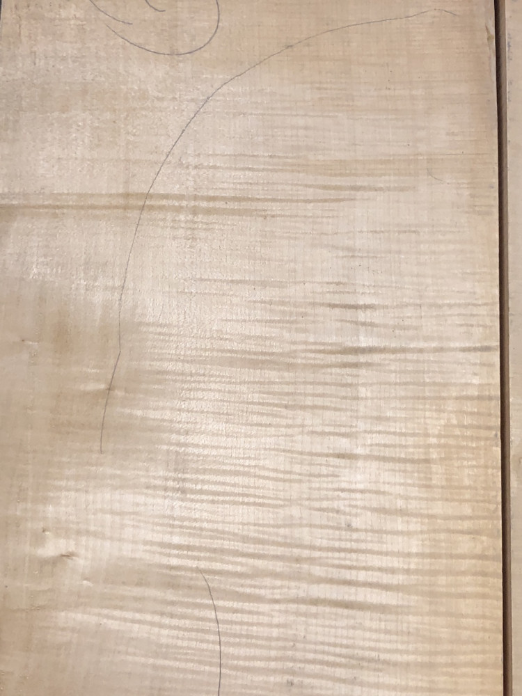 Balkan Maple Cello Back, choice AS PICTURED