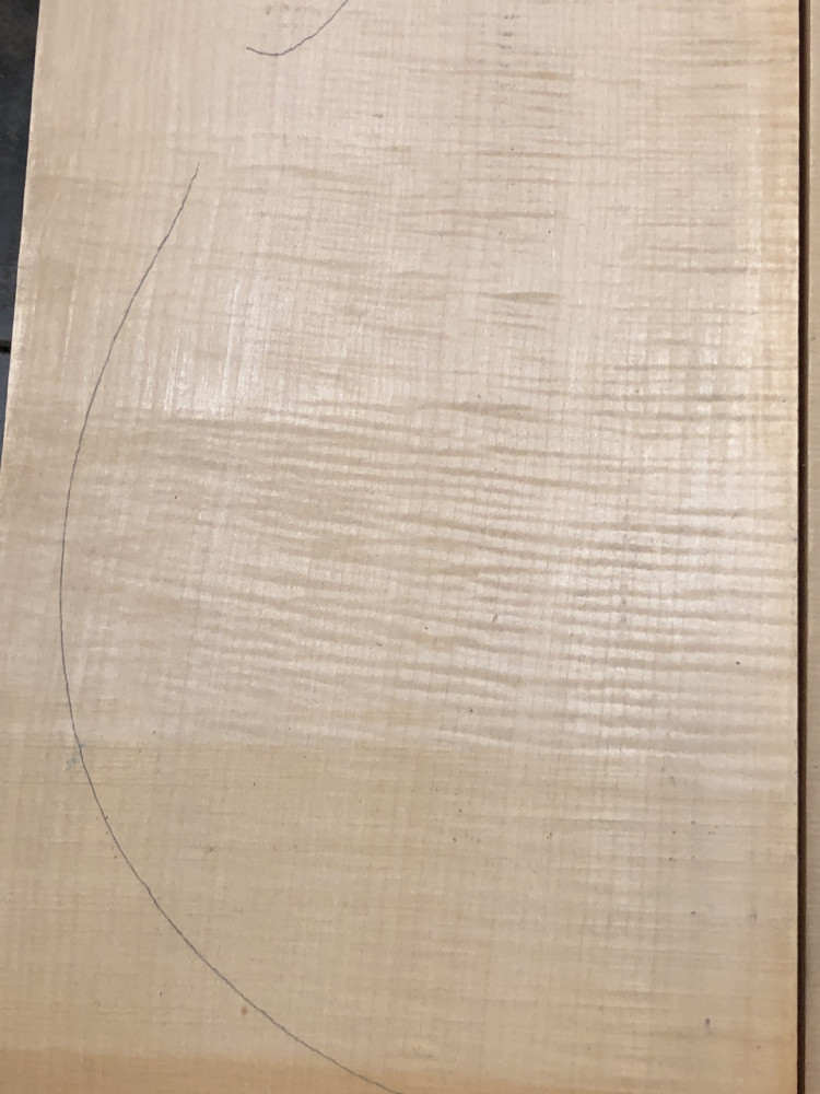 Balkan Maple Cello Back, choice AS PICTURED