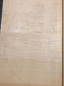 Balkan Maple Cello Back, choice AS PICTURED