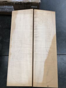 Balkan Maple Cello Back, choice AS PICTURED