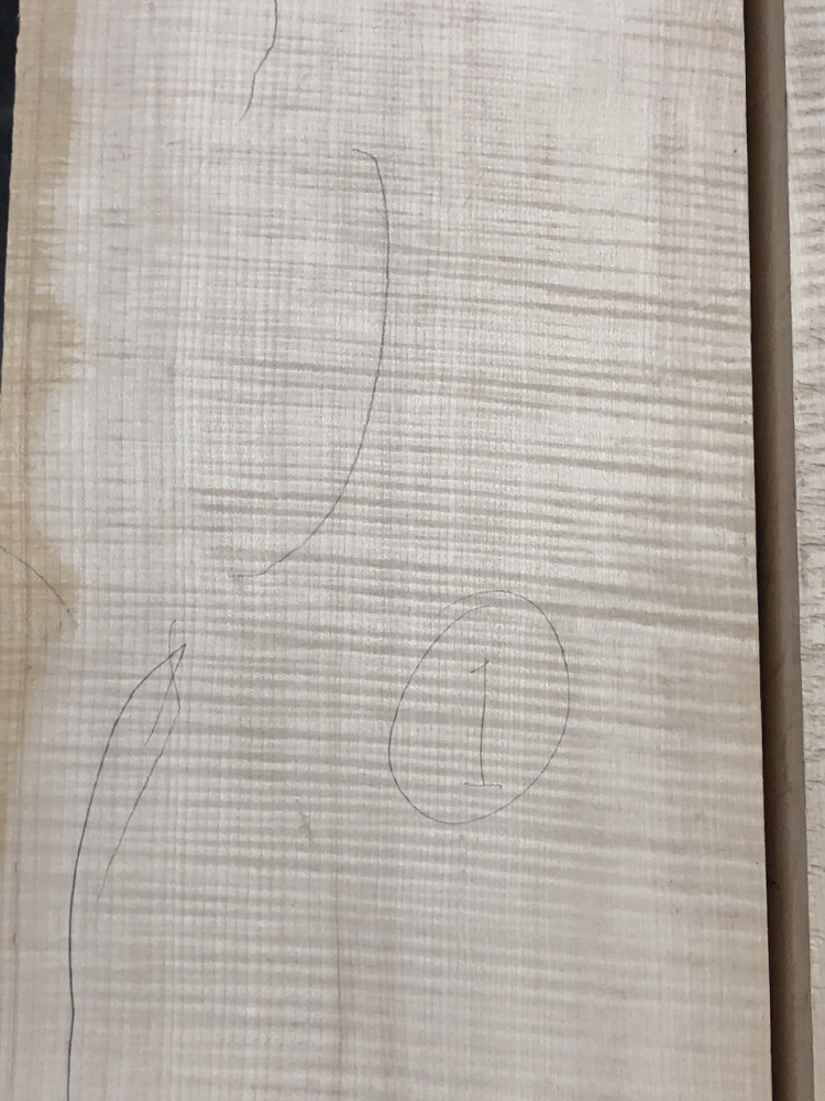 Balkan Maple Cello Back, choice AS PICTURED