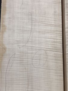 Balkan Maple Cello Back, choice AS PICTURED
