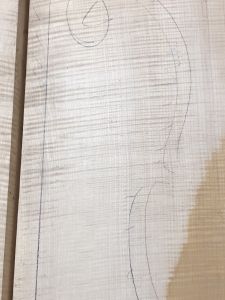 Balkan Maple Cello Back, choice AS PICTURED