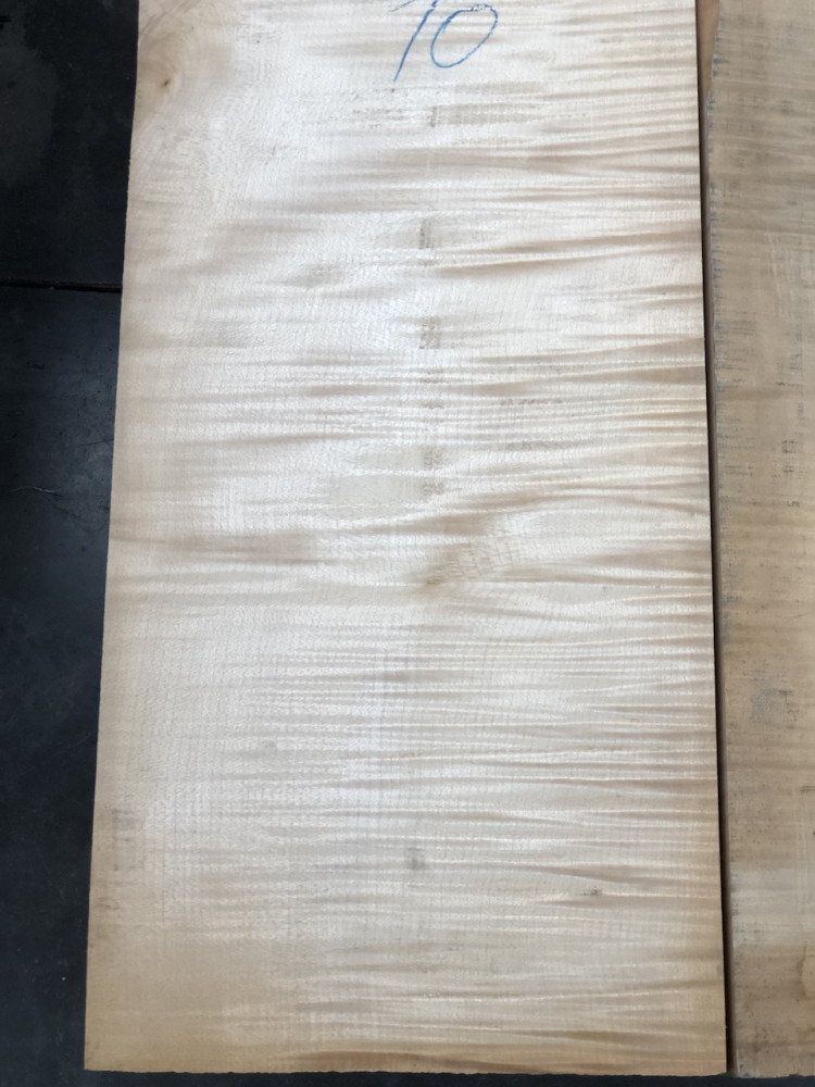 Balkan Maple Cello Back, choice AS PICTURED