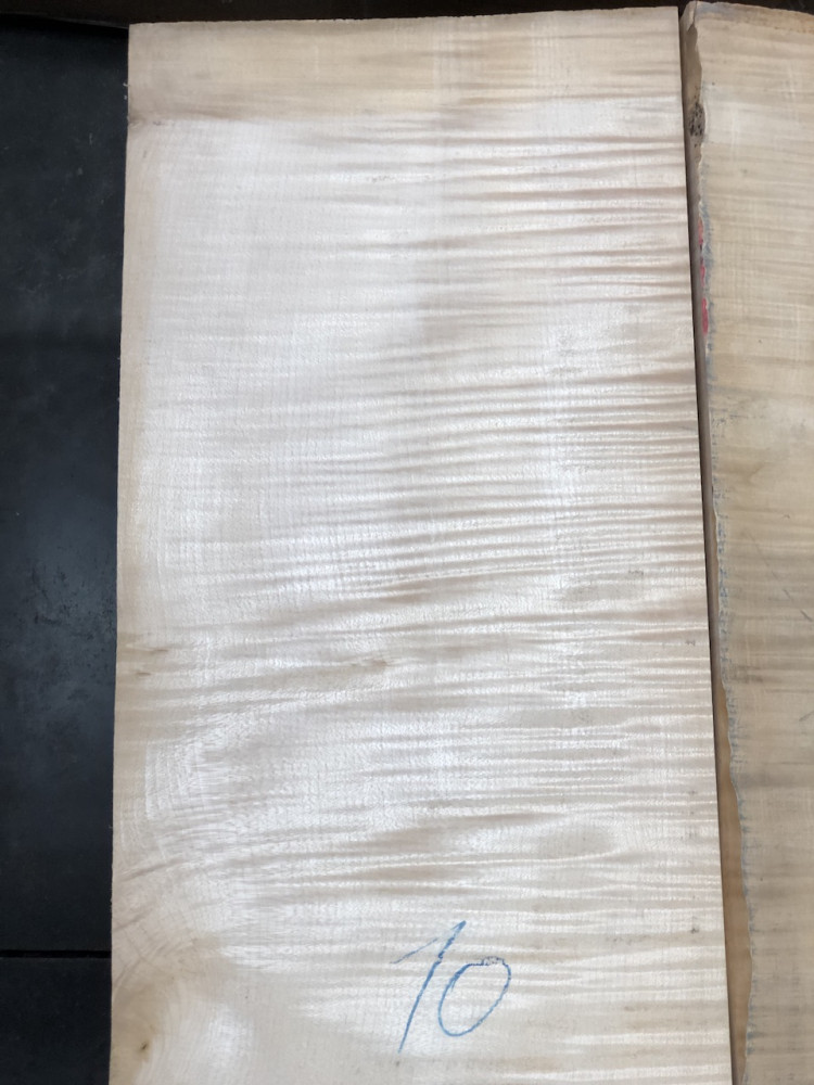 Balkan Maple Cello Back, choice AS PICTURED
