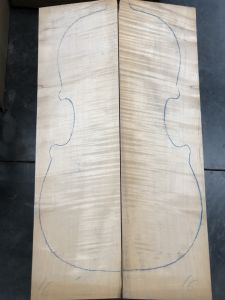 Balkan Maple Cello Back, choice AS PICTURED