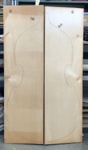 Bachmann F2 Bass Top, 2016, PICK 000