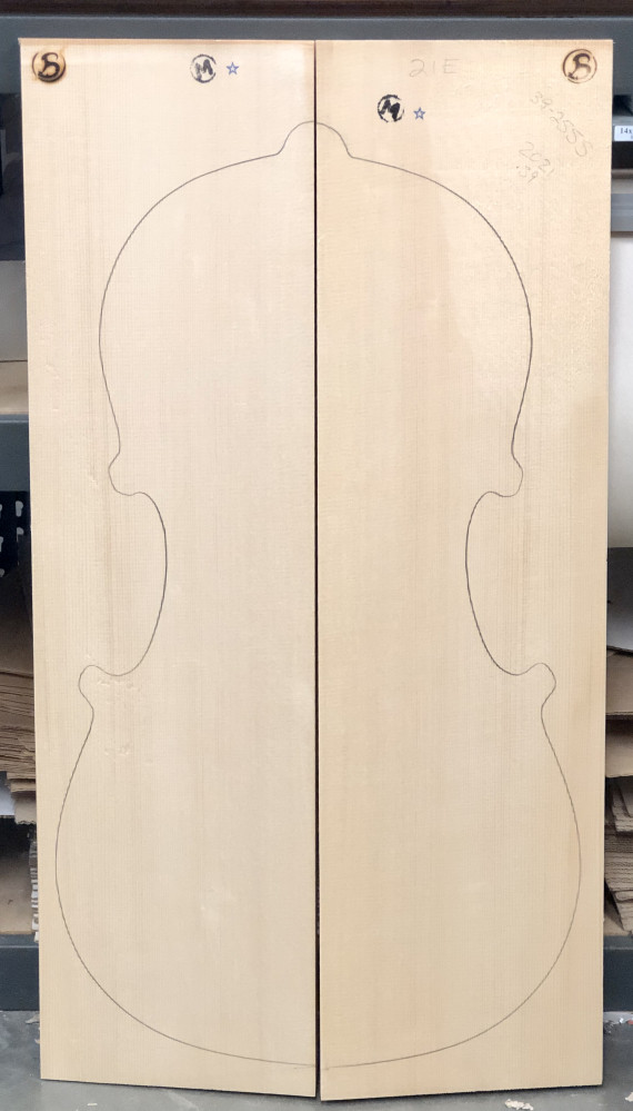 Bachmann MF Master+ Cello Top, 2021, PICK 5020