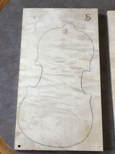 Bachmann Maple Violin Back, 1-piece, slab sawn