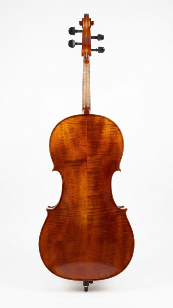 GEWA Sonata-Europa Cello